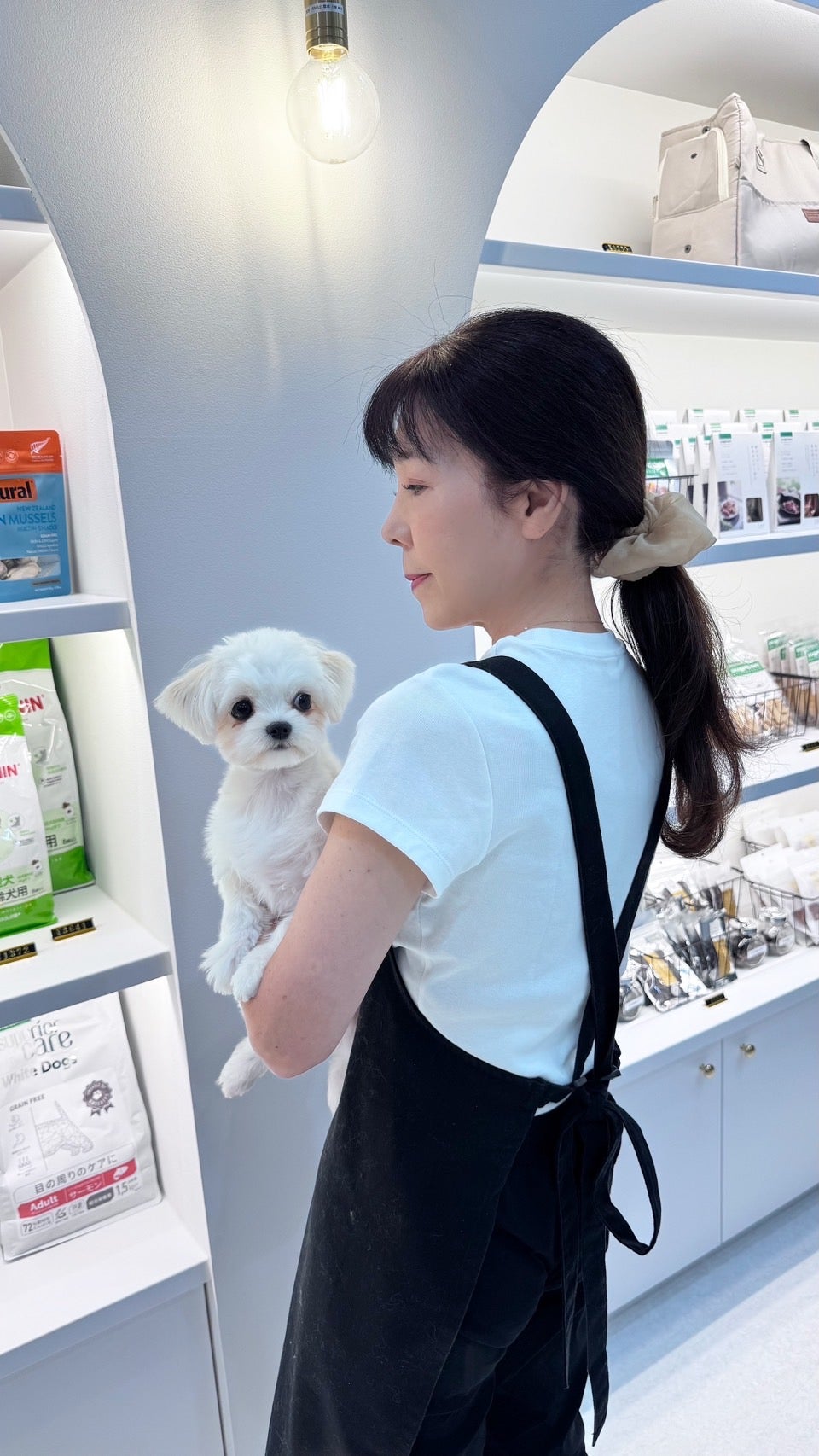 確かな腕と寄り添う心で、ワンちゃんの安心生活をサポート♪の写真