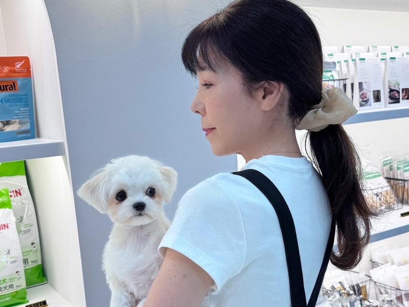 Petit bonheurの画像